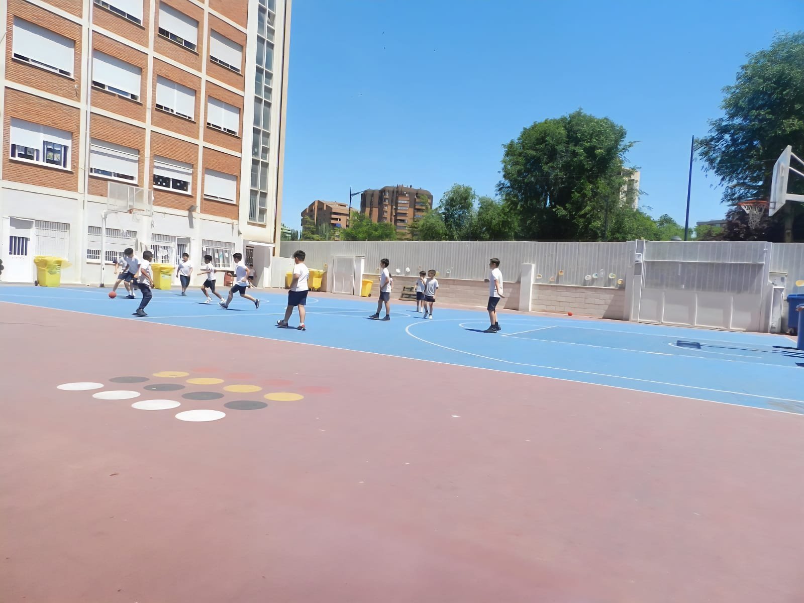 WhatsApp-Image-2026-02-06-at-12.13.02-8