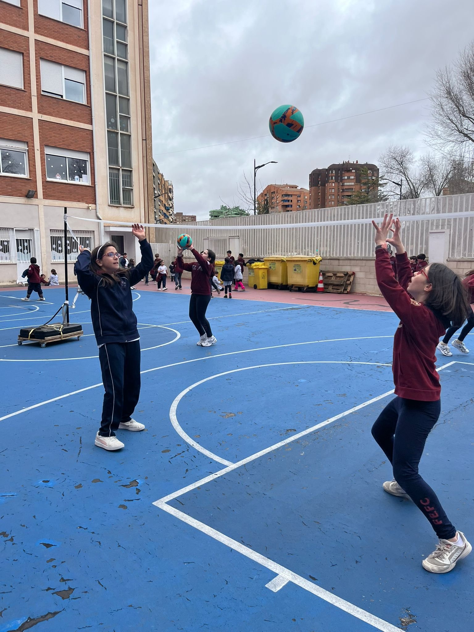 WhatsApp Image 2026-02-11 at 18.43.36